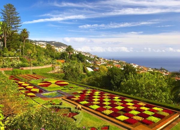 Madeira - Funchal - botanická zahrada