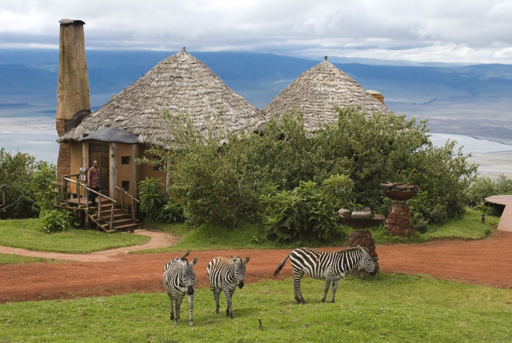 Tanzánie - Ngorongoro Crater Lodge - zebry