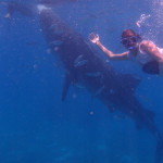 Filipíny - velrybí žralok s Kristinou
