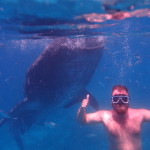 Filipíny - velrybí žralok s Martinem
