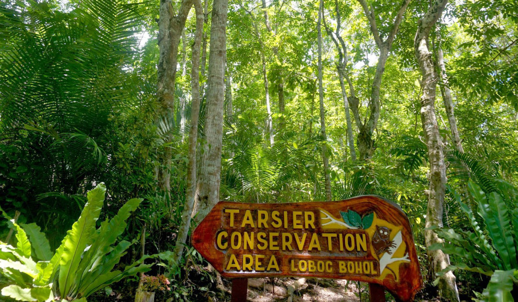Přírodní rezervace nártounů - vstup do deštného pralesa