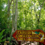 Přírodní rezervace nártounů - vstup do deštného pralesa
