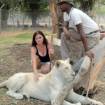 Mauritius - Casela park - interakce se lvy
