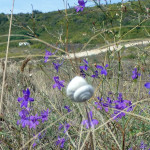 Golf-v-Bulharsku-Thracian-Cliffs