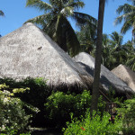 Maledivy-Bandos-zahradní-vila