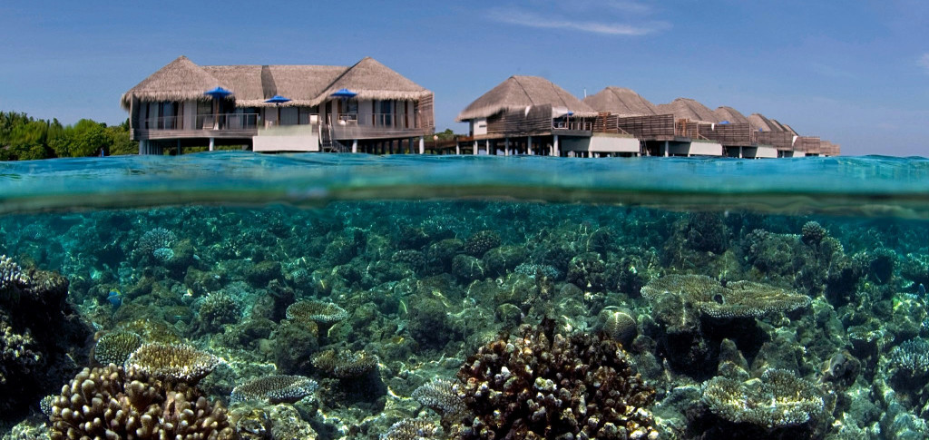 Maledivy-Dusit-Thani-vodní-vily-šnorchování