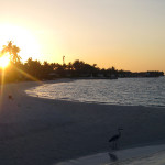 Maledivy-Jumeirah-Vittaveli-pláž