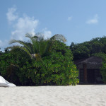 Maledivy-Palm-Beach-beach-bungalov