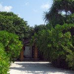 Maledivy-Palm-Beach-beach-bungalov