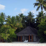 Maledivy-Palm-Beach-beach-vila-deluxe