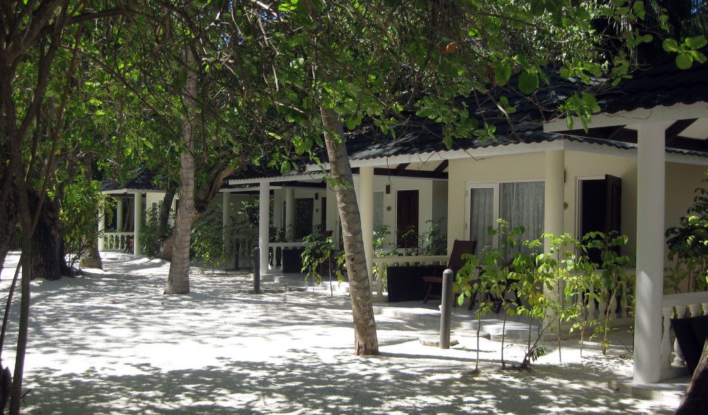 Maledivy-Paradise-Island-standard-beach-bungalov
