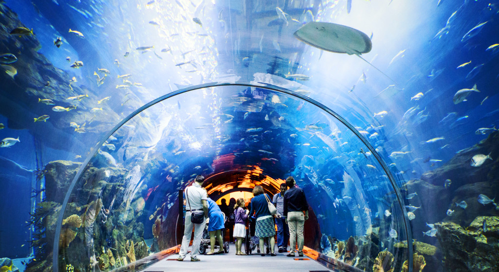 Emiráty-Dubaj-Dubai-Mall-akvárium