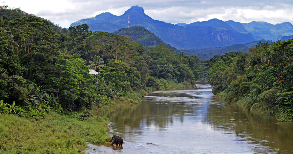 Srí-Lanka-Kitulgala-sloní-koupel