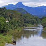 Srí-Lanka-Kitulgala-sloní-koupel