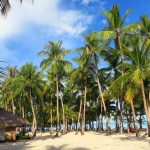 Filipíny-Bohol-South-Palm-Resort