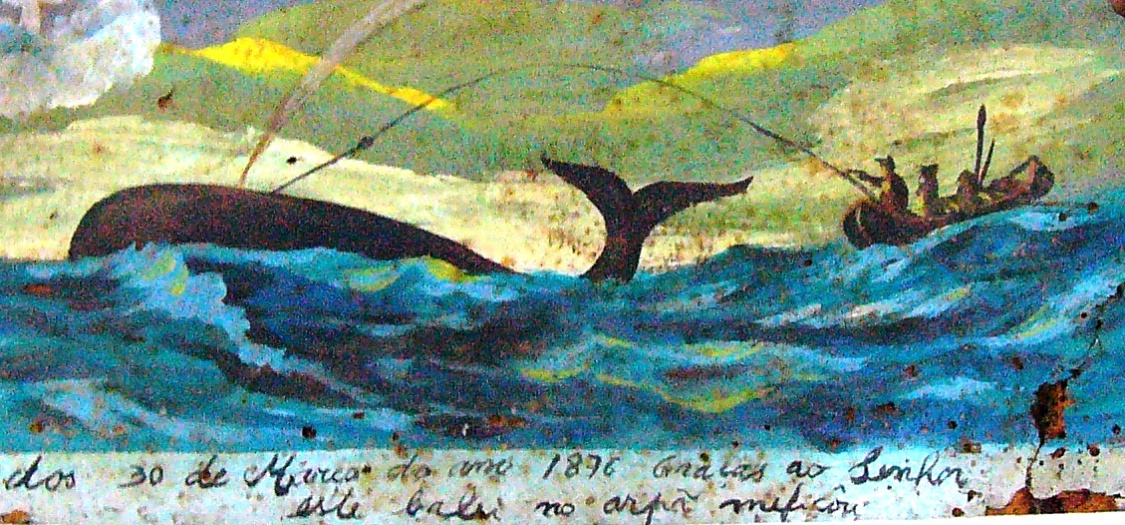 Azory-Pico-muzeum-velryb