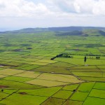 Azory-Terceira-zemědělská-pole
