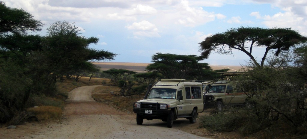 Luxusni-Safari-Afrika-Tanzanie-Seregneti