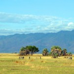 Luxusní-safari-Afrika-Tanzánie-Tarangire-Maramboi-Tented-Camp