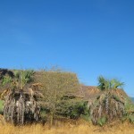 Luxusní-safari-Afrika-Tanzánie-Tarangire-Maramboi-Tented-Camp
