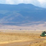 Luxusní-safari-Afrika-Tanzánie-kráter-Ngorongoro