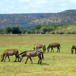 Luxusní-safari-Afrika-Tanzánie-národní-rezervace-Lake-Manyara