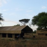 Luxusní-safari-Afrika-Tanzánie-národní-rezervace-Serengeti-Kati-Kati-migrační-kemp