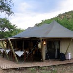 Luxusní-safari-Afrika-Tanzánie-národní-rezervace-Serengeti-Pioneer-camp