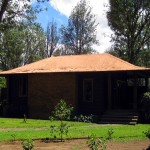 Luxusní-safari-Afrika-Tanzánie-Arusha-Arusha-Coffee-lodge