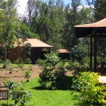 Luxusní-safari-Afrika-Tanzánie-Arusha-Arusha-Coffee-lodge