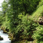 Golf-Slovinsko-Bled-soutěska-Vintgar