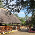 Luxusní-safari-Tanzanie-Zanzibar-Selous-African-Safari-Camp