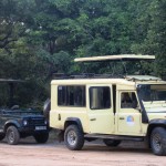 Luxusní-safari-Tanzanie-Zanzibar-Selous-African-Safari-Camp-jeep-safari