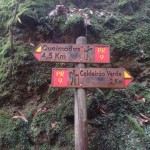 Madeira-Queimadas-levada-Caldeirao-Verde