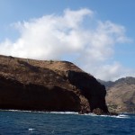 Madeira-Scorpio-Madeira-pozorování-velryb a delfínů