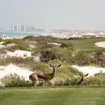 Golfové-hřiště-Saadiyat-turnaj-STI