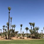 Golf-Maroko-Marrakéš-golfové-hřiště-Palmerai-golf
