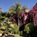 Golf-Maroko-Marrakéš-hotel-Palmerai-Palace