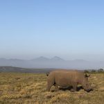 JAR-safari-Gondwana