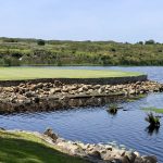golfové-hřiště-Fancourt-Montagu